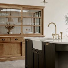 a kitchen with two sinks and cabinets in the back ground, next to a potted plant