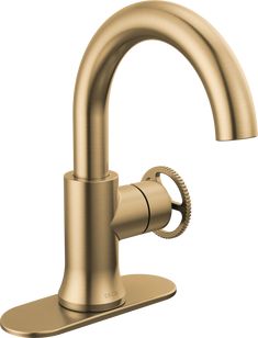 the brass faucet is shown with an open spout and nozzler