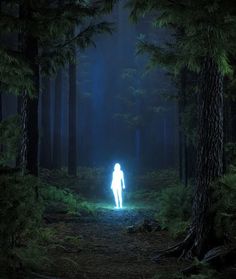 a person standing in the middle of a forest with blue light coming from their body