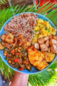 a blue plate topped with rice, meat and veggies next to palm trees