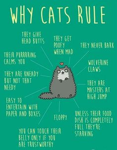 a poster with words describing cats rules