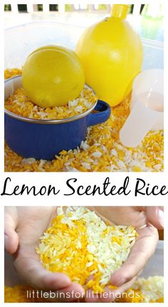 lemons, rice and other ingredients are shown in this collage