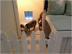 a dog is standing in front of a white picket fence and looking through the door