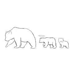 an adult bear and two baby bears are shown in this black and white drawing on paper