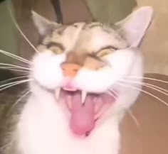 a cat with its mouth open and it's tongue out