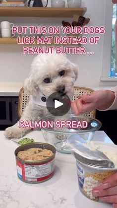 a white dog eating out of a bowl on top of a table with food in it