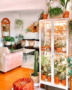 a living room filled with lots of potted plants