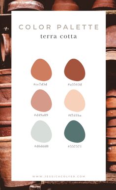 the color palette for terra cota