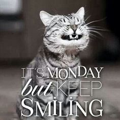 a cat with it's mouth open and the words it's monday, but keep smiling