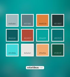 the color palette is different shades of blue, green, orange and red with text below