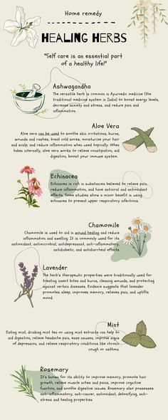 A unique poster with descriptions of various healing herbs, that are extremely healthy for our wellbeing. Suitable for the Kitchen & Dining Area! Herbs For Protection And Healing, Herbs For Wellness, Herbs That Help With Sickness, List Of Herbs And Their Benefits, Herbs As Medicine, Herbs That Heal, Herbs For Swelling, How To Use Herbs For Medicine, Best Herbs For Womens Health