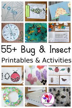 bug and insect printables and activities for toddlers to do with the kids