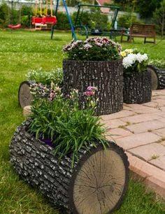 some plants are growing out of logs in the grass