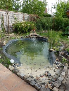 a small pond in the middle of a garden