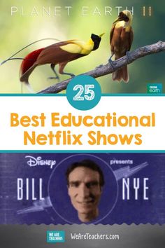 the 25 best educational netflix shows from planet earth ii to disney's live - action