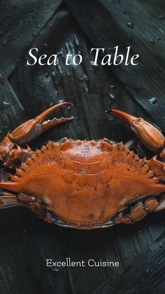 a close up of a crab on a wooden surface with the words sea to table