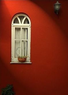 a red wall with a white window and potted plant