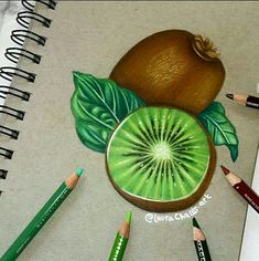 a drawing of a kiwi with green leaves and two pencils next to it