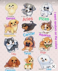 the different types of dogs are shown in this graphic style, and each dog has its own name on it