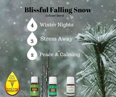 Winter Sleep Diffuser Blends, Winter Nights Diffuser Blend, Young Living Diffuser Recipes, Young Living Essential Oil Diffuser, Diffuser Oils, Fall Diffuser Blends, Black Spruce