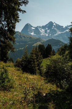 In this guide, discover how to spend one day in Lauterbrunnen, Switzerland. You'll hike over a spectacular valley with mountain views, explore charming small towns, and find incredible viewpoints.