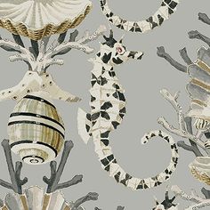 seahorses, shells and seashells are depicted on a gray background