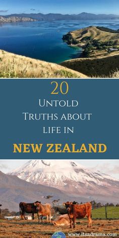 two pictures with the title 20 unto truth about life in new zealand