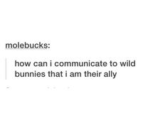 the text reads, meebucks how can i communicate to wild bunnies that i am their ally