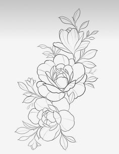 a line drawing of flowers with leaves on the bottom and one flower in the middle