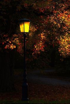 a lamp post in front of a tree with leaves on it and the light shining brightly