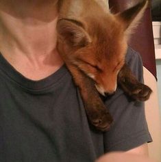 a woman is holding a baby fox in her arms and it's head resting on the arm of another animal