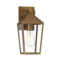 an outdoor wall light with a clear glass shade