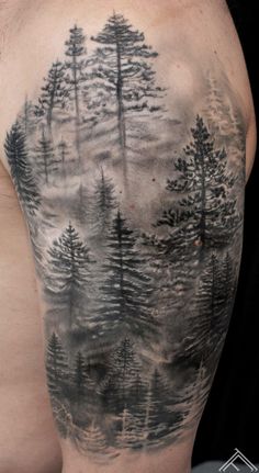 a man's upper half sleeve with trees on it