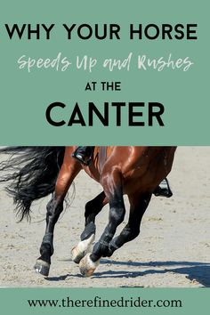 a horse is galloping with the words why your horse speeds up and rushes at the center