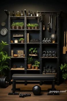 a gym room with black walls and shelves filled with plants, dumbbells, kettles and weights