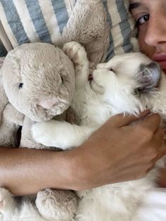 a man is holding two puppies in his arms while they are cuddled together