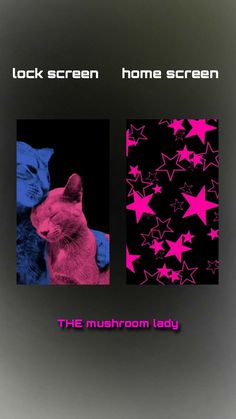 two pictures with pink and blue stars on them, one has a cat in the middle