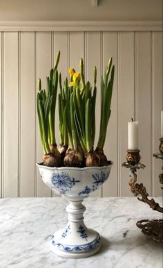 a bowl filled with green onions on top of a table