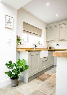 a potted plant sitting in the middle of a kitchen with white cabinets and counter tops