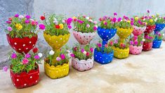 colorful flower pots are lined up on the ground