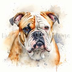 a watercolor painting of a brown and white dog