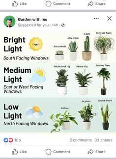 an iphone screen showing different types of house plants