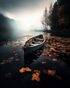 a small boat floating on top of a body of water next to a shore covered in leaves