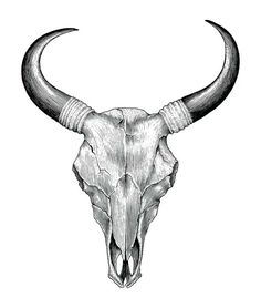 an animal skull with long horns on it's head