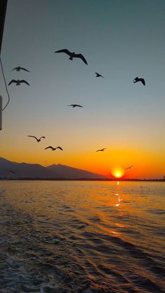 a flock of birds flying over the ocean at sunset