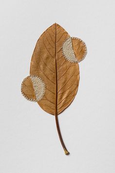 a brown leaf with two leaves on it