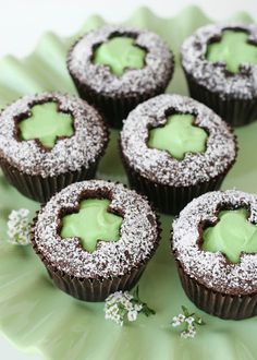 chocolate cupcakes with green frosting on a plate