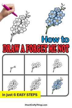 how to draw a forget me not flower in just 6 easy steps for kids and adults