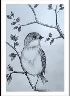 a drawing of a bird perched on a tree branch