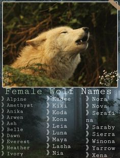 an animal with its head in the air and words below it that read female wolf names